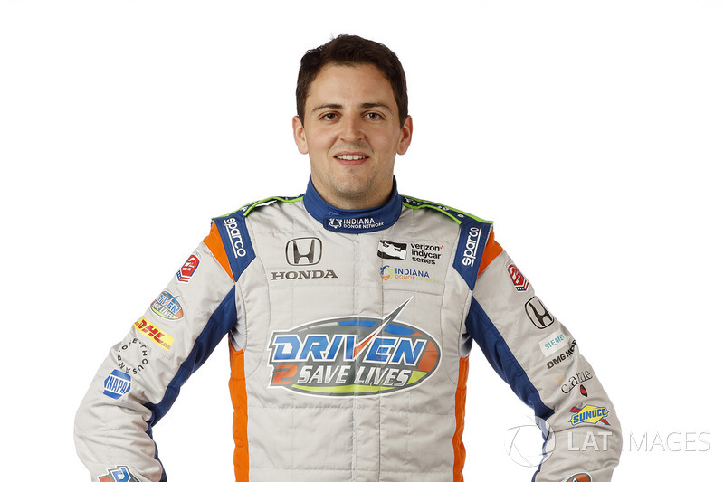 #25: Stefan Wilson, Andretti Autosport, Honda