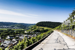 Rally Germany atmosphere