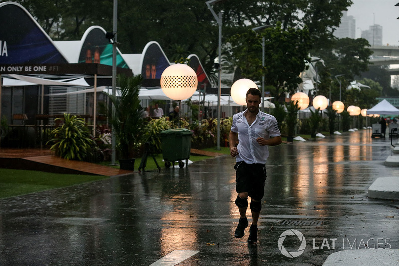 Wet Paddock