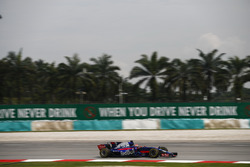 Pierre Gasly, Scuderia Toro Rosso STR12
