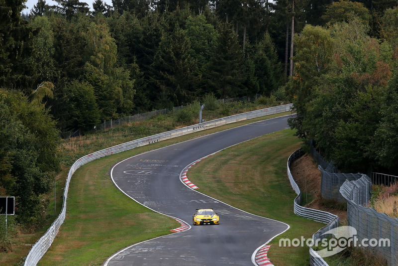 Martin Tomczyk, BMW M4 DTM Race Taxi