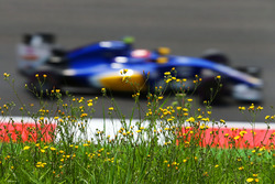 Felipe Nasr, Sauber C35