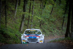 Paolo Andreucci, Anna Andreussi, Peugeot 208 T16, Peugeot Sport Italia