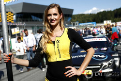 Gridgirl für Robert Wickens, Mercedes-AMG Team HWA, Mercedes-AMG C63 DTM