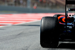 Fernando Alonso, McLaren MP4-31