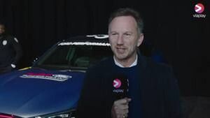 Horner over Ricciardo: