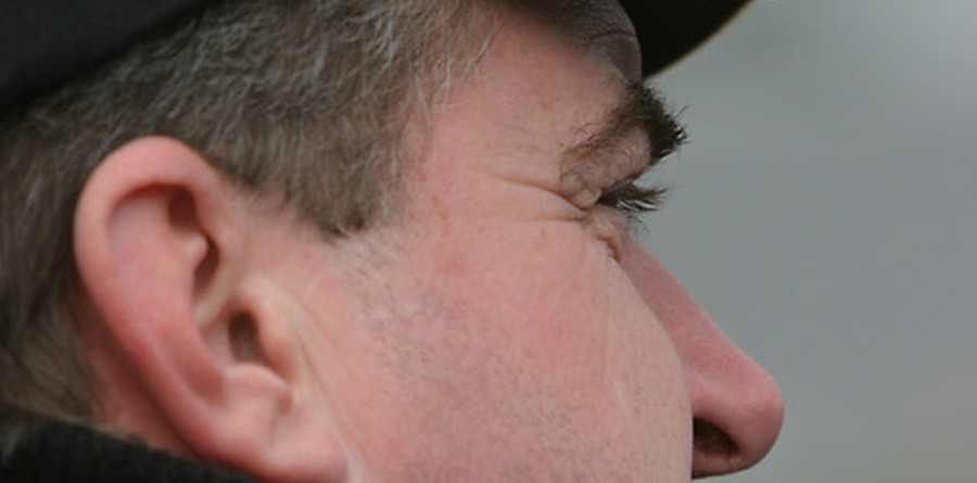 Nemechek fastest in Talladega's Happy Hour Nemechek fastest in Talladega's Happy Hour