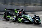 Brabham and Bell return to Petit Le Mans with ESM Brabham and Bell return to Petit Le Mans with ESM