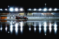 Norbert Michelisz, Honda Civic WTCC, Zengo Motorsport