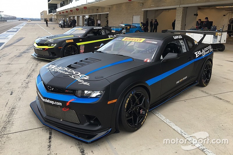 Aschenbach rejoins Gaples in Blackdog Camaros