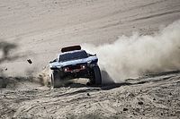 Problemy Peterhansela