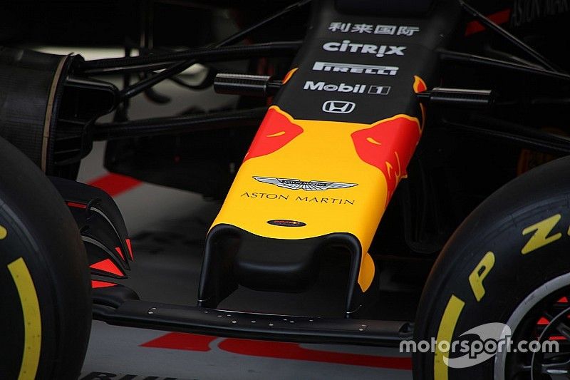 Red Bull nose detail