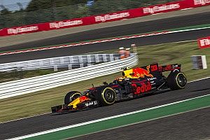 Tyre blister blunted Verstappen victory charge - Horner