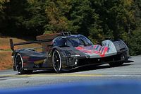 IMSA | A che livello sono le LMDh? "Si gioca al gatto col topo"
