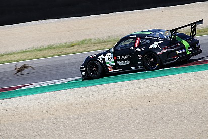 Carrera Cup Italia, occhio alla... lepre al Mugello!