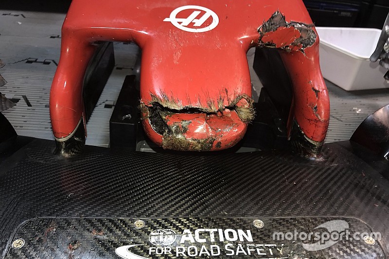 FIA legt uit waarom bosmarmot-incident niet voorkomen kon worden