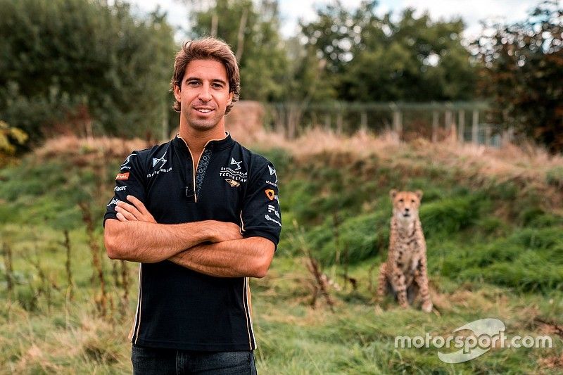 Techeetah hat prominenten Ersatz für Andre Lotterer gefunden