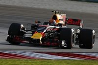 Verstappen tigre della Malesia, ma ruggisce Vettel quarto