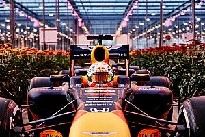 Verstappen: "Não tenho intenção de deixar a Red Bull"