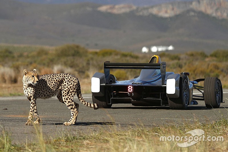La Formula E è stata premiata anche a... Cannes!