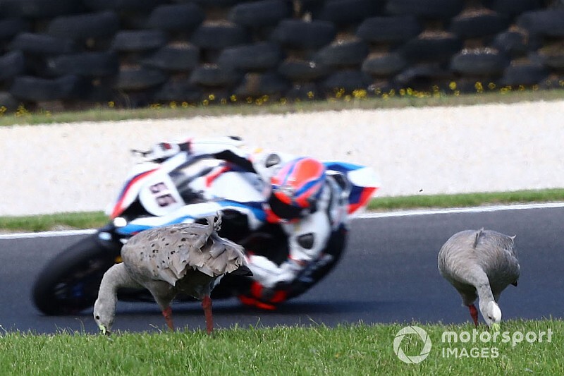 Las mejores fotos del arranque de la temporada 2020 del WorldSBK en Australia