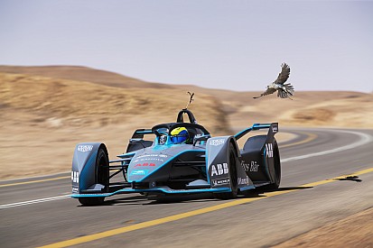 Újabb állati verseny a Formula E-ben: Massa vs. vándorsólyom