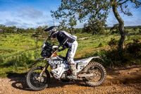 Dużo nowości dla Dąbrowskiego