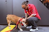 Morre aos 12 anos Roscoe, buldogue inseparável de Hamilton na F1
