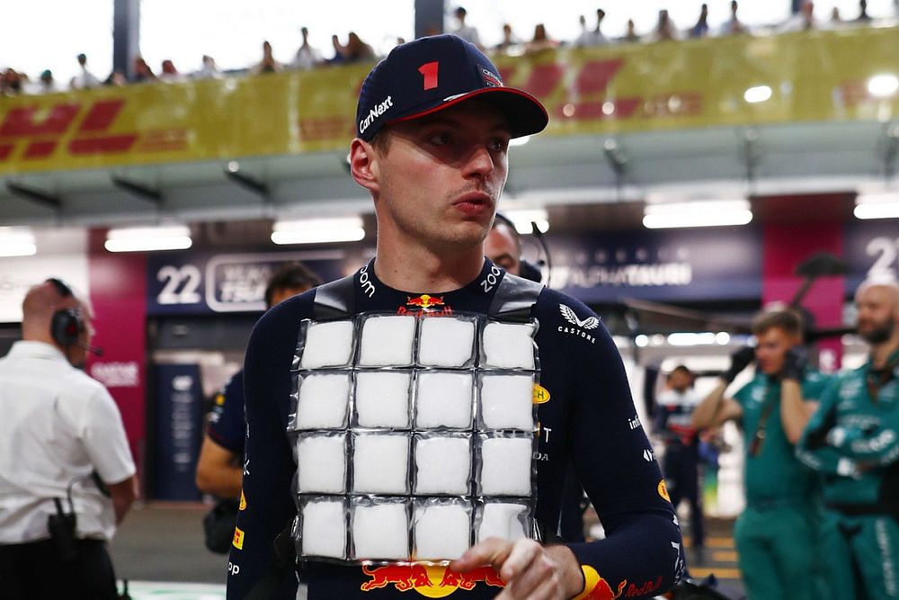 Max Verstappen, Red Bull Racing