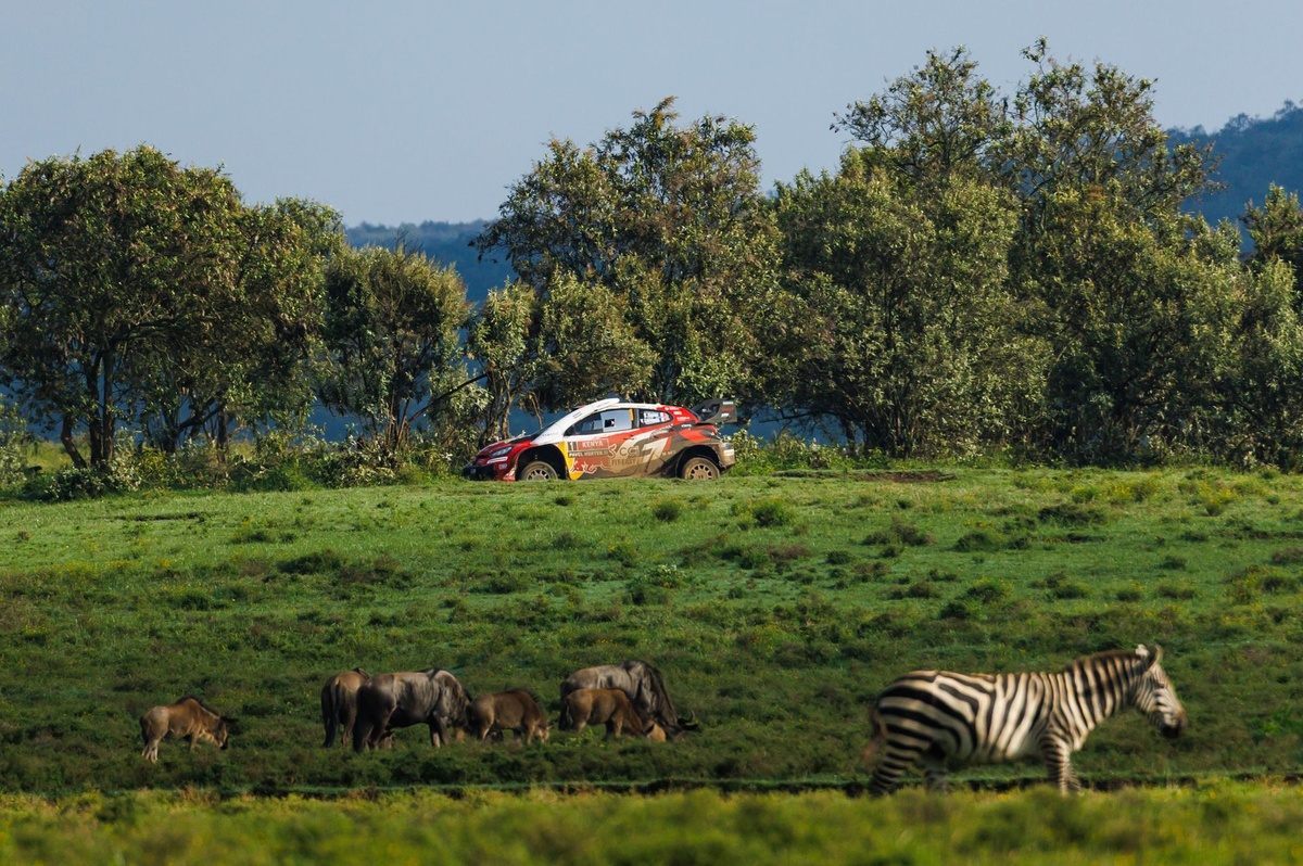 WRC working to secure future of Safari Rally Kenya beyond 2026
