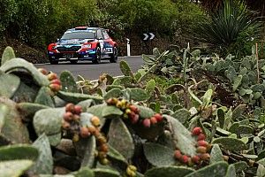 Wypowiedzi przed Rally Islas Canarias
