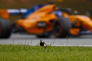 Alonso: Remélem, célba fogok érni Brazíliában…
