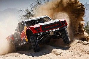 San Felipe 250 dla Menziesa