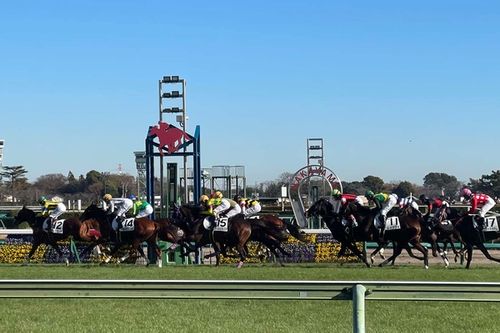 【午年にちなんで】モータースポーツと馬の意外な関係性&hellip;&hellip;インディチャンプの子供たちにご注目