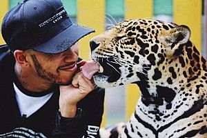 Hamilton fue duramente criticado por jugar con animales salvajes