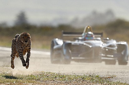 Video: Bir çita mı daha hızlıdır yoksa Formula E aracı mı?