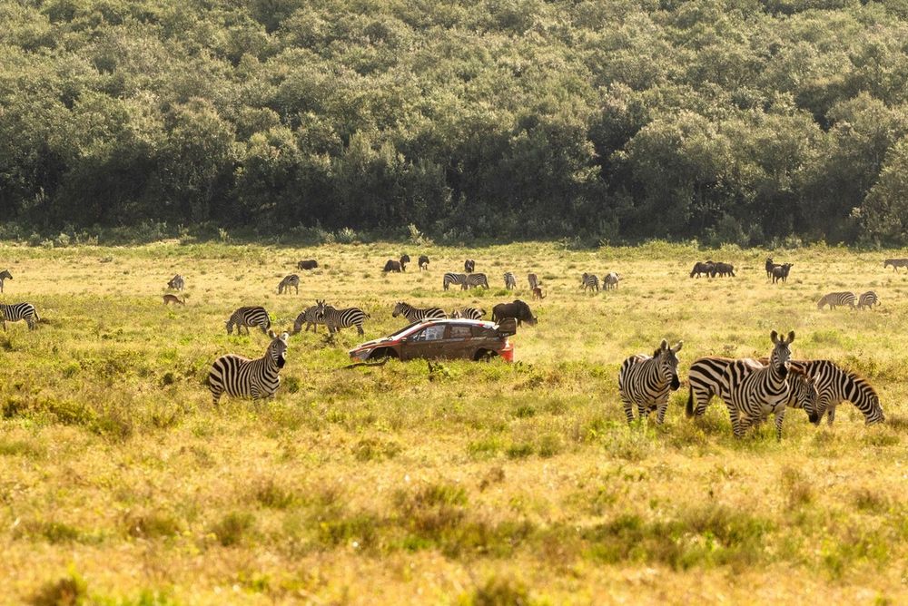 Ott Tänak, Martin Järveoja, Hyundai World Rally Team Hyundai i20 N Rally1