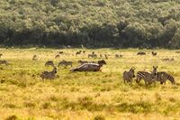 (Moto)Wizja Tygodnia &ndash; 24-31 marca