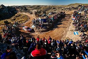 Dani Sordo: "He dado el máximo, pero no tuve el ritmo necesario"