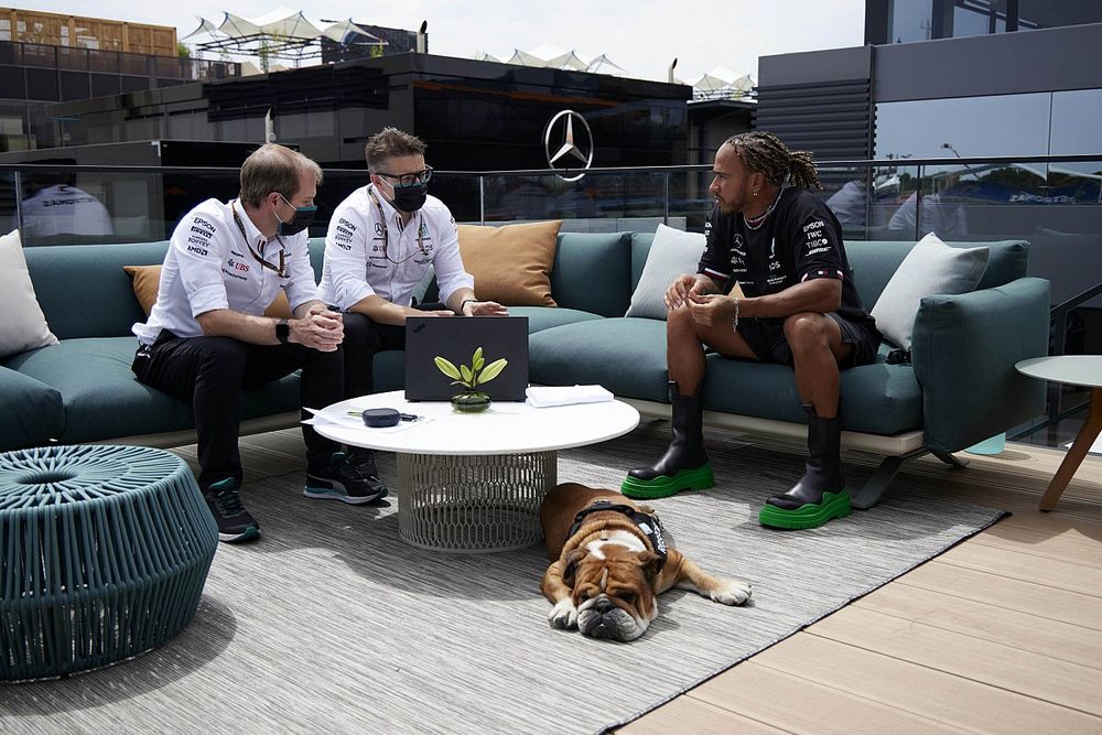 Lewis Hamilton, Mercedes, and Roscoe