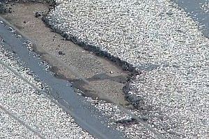 Sunday's Atlanta Cup race briefly halted for track repairs