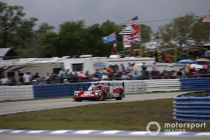 #31 Action Express Racing Cadillac DPi: Felipe Nasr, Eric Curran, Pipo Derani