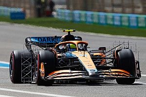 À quoi servent les grilles attachées aux F1 en essais ?