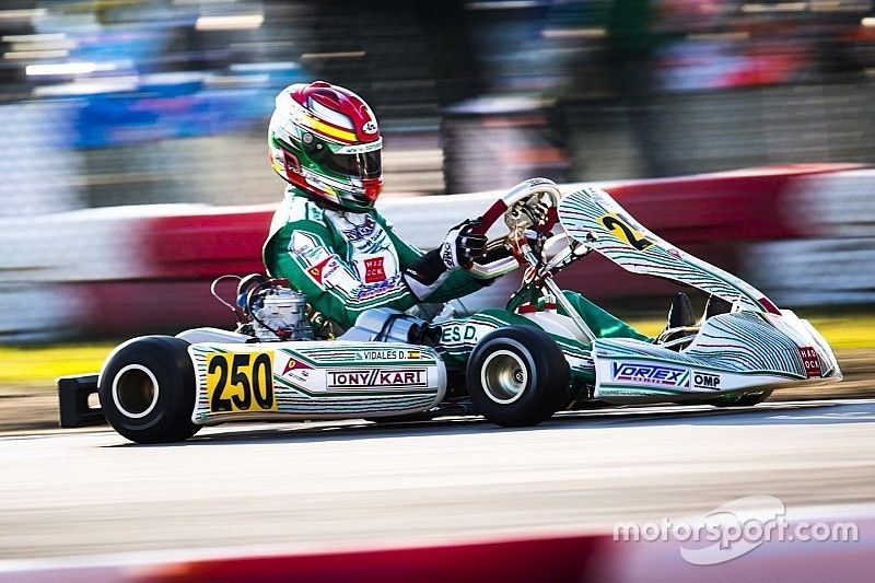 David Vidales, Tony Kart