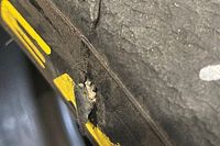 WRC | Caso Ogier: ecco la foto che spiega cosa è successo