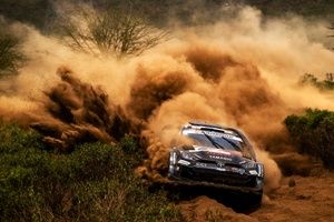 Kr&oacute;tsze Safari