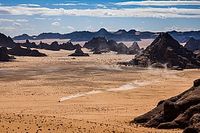 Audi rezygnuje z protestu