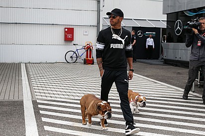 No Dia dos Animais, conheça histórias de pilotos e seus bichos de estimação