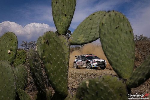 Powr&oacute;t Rajdu Meksyku