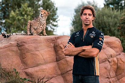 Felix da Costa blijft in Formule E met overstap naar Techeetah